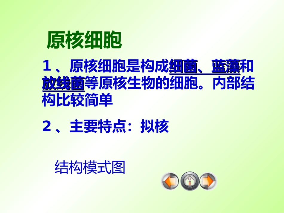 细胞的类型和结构(全)_第3页