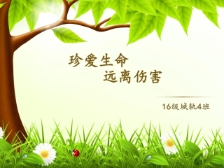 珍爱生命-远离伤害