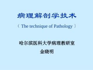 病理解剖技术