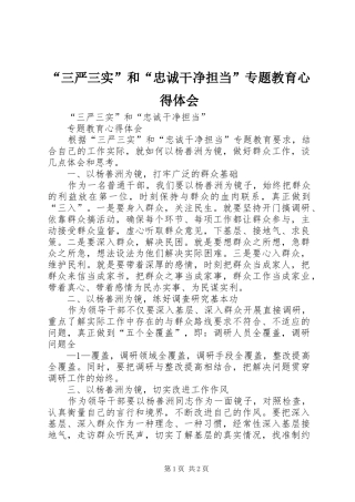 “三严三实”和“忠诚干净担当”专题教育心得体会