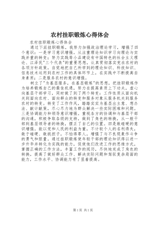 农村挂职锻炼心得体会