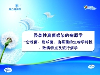 侵袭性真菌感染的病原学