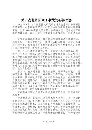 关于湖北丹阳811事故的心得体会