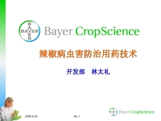 拜耳-辣椒病虫害防治技术