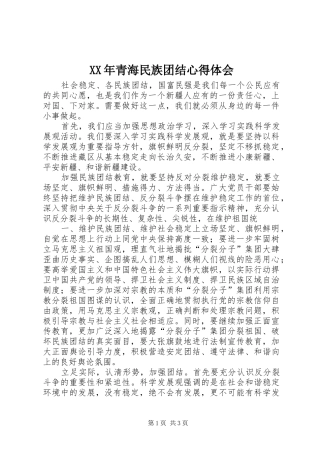 XX年青海民族团结心得体会