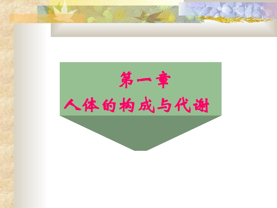 人体的结构与代谢_第1页