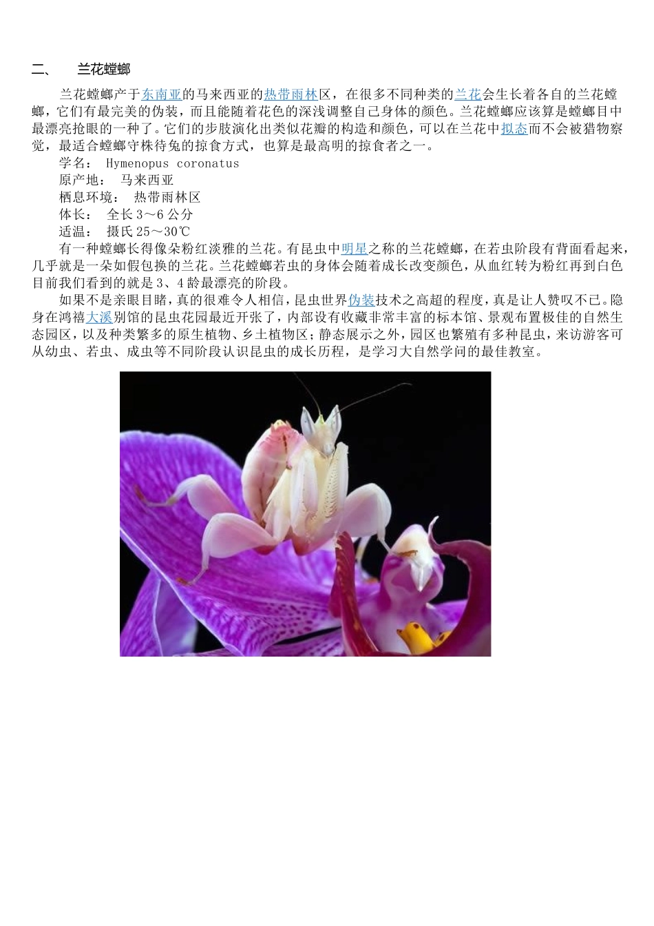 隐形动物大比拼_第2页