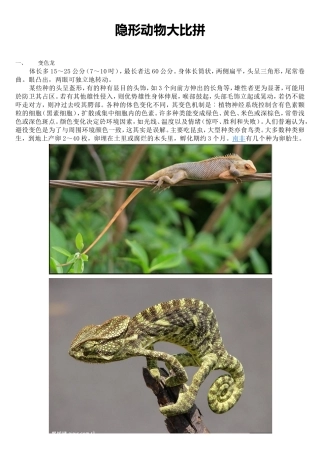 隐形动物大比拼