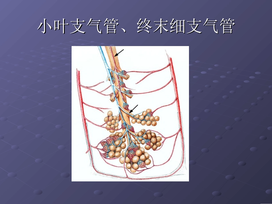 胸部常见CT征象认读._第3页