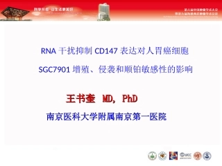 CD147在胃癌细胞SGC7901增殖