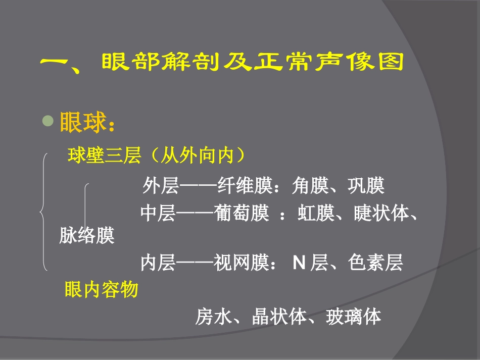 眼部超声检查_第3页