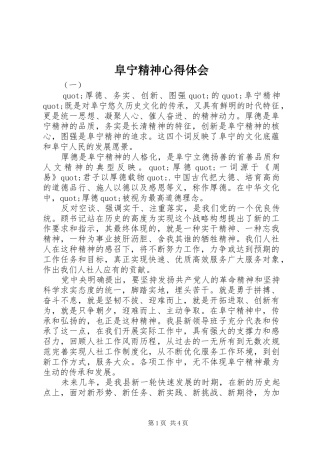 阜宁精神心得体会