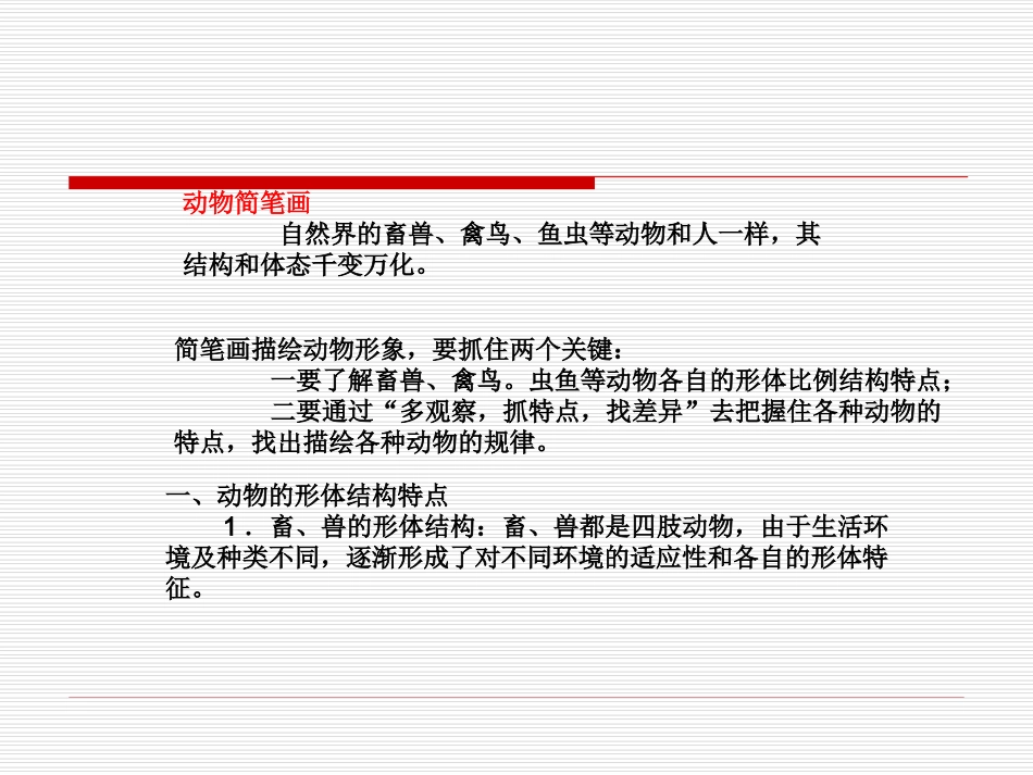 动物画法 演示文稿_第1页