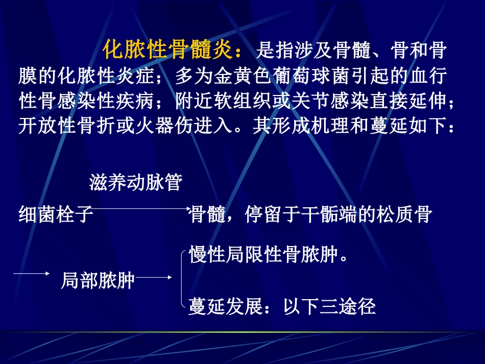 化脓性骨髓炎_第2页