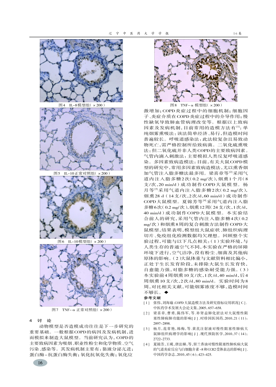 屏障环境下建立COPD大鼠模型经验-许坚,骆丽斐_第3页