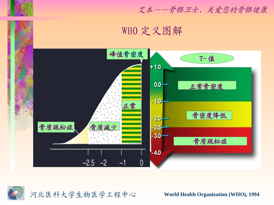 骨质疏松症及伊班膦酸钠的应用_第3页