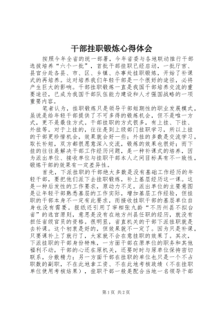 干部挂职锻炼心得体会