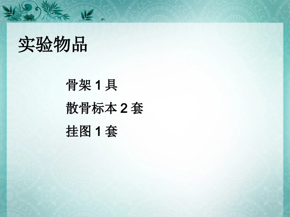 实验六  四肢骨连结_第2页