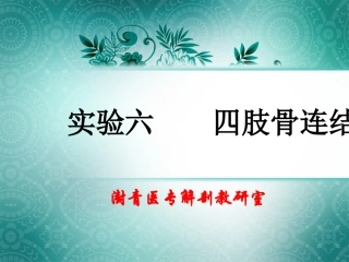 实验六  四肢骨连结