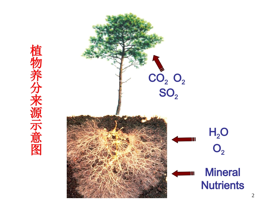 Chap11-土壤养分_第2页