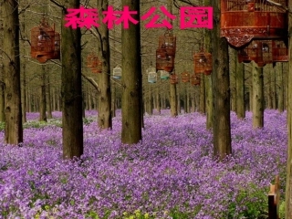 二年级保护耳朵好