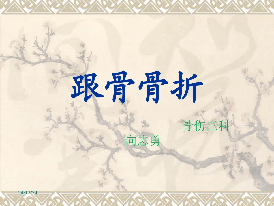 向志勇-跟骨骨折_第1页