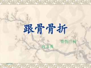 向志勇-跟骨骨折