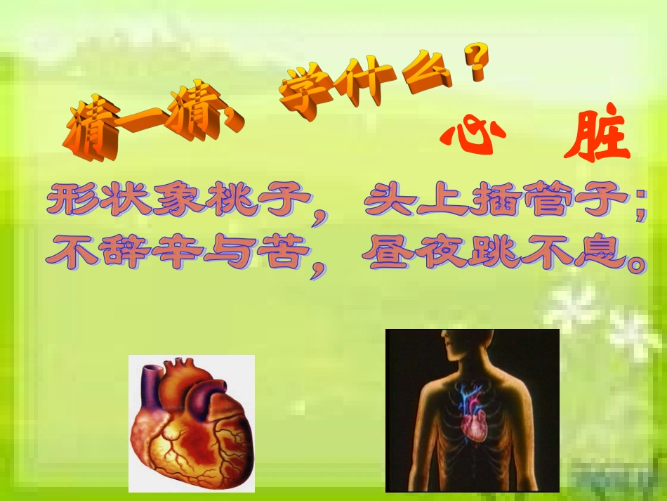 人教七年级下册第四章第三节输送血液的泵——心脏_第1页
