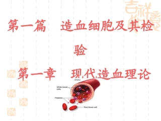 血液学检验-1-现代造血理论