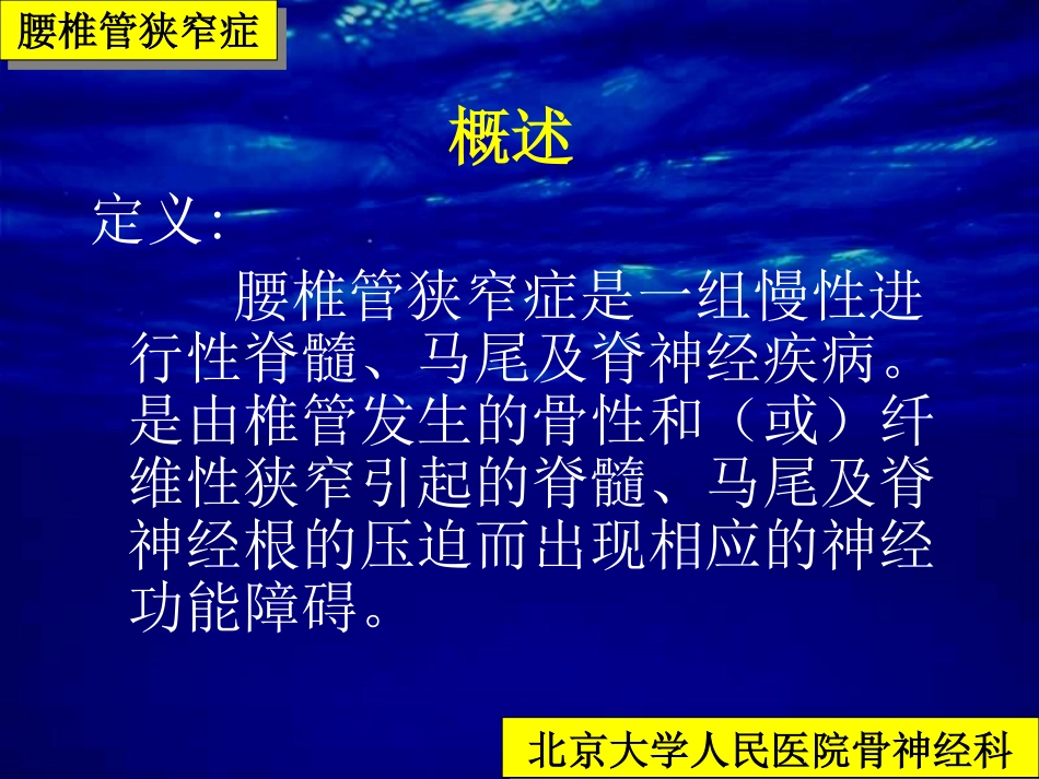 腰椎管狭窄症[105P][4.62MB]_第2页