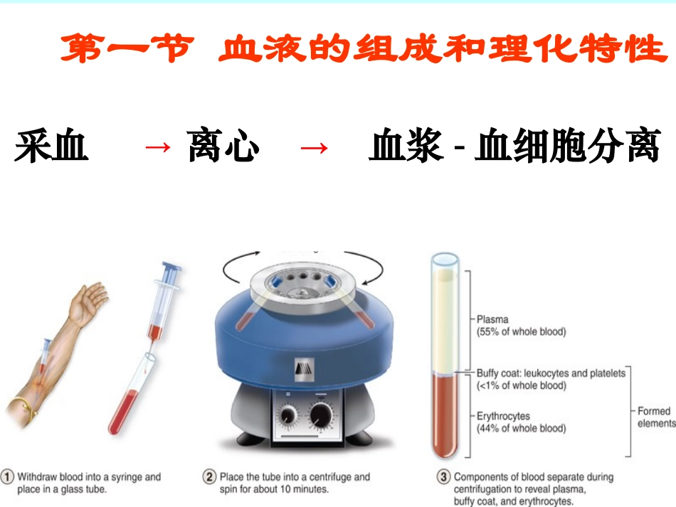 血液的主要功能_第3页