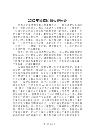 20XX年民族团结心得体会 (5)