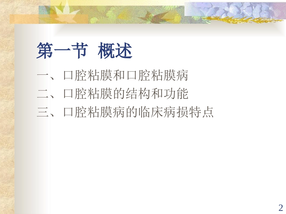 口腔内科学 粘膜病_第2页