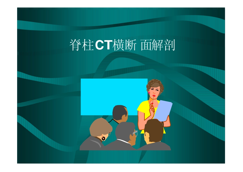 脊柱CT横断面解剖_第1页
