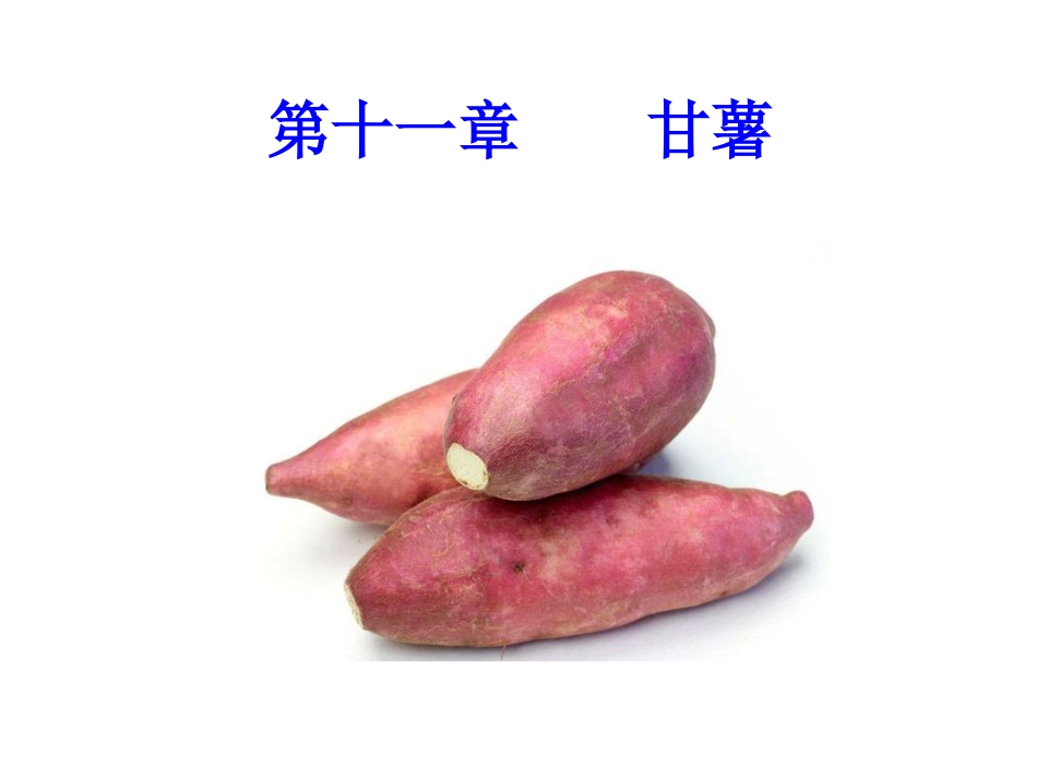 第十一章  甘薯_第1页