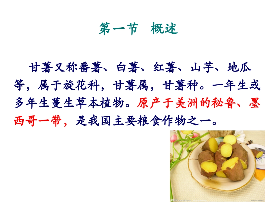 第十一章  甘薯_第3页