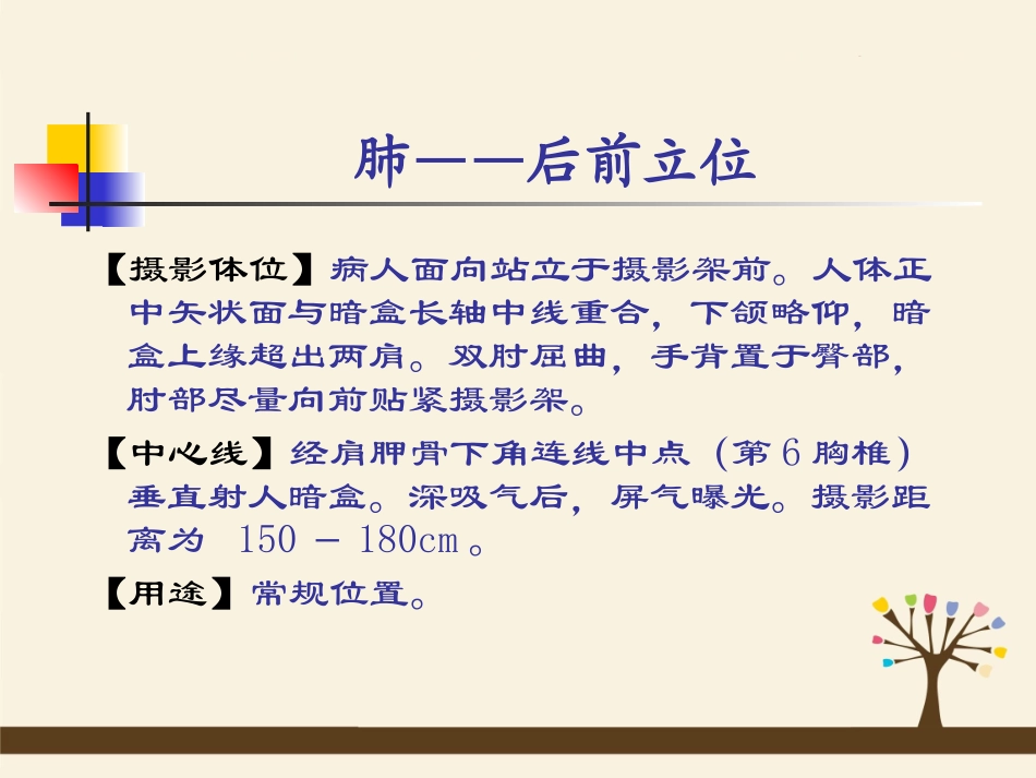 呼吸、循环、消化、泌尿影像学_第1页