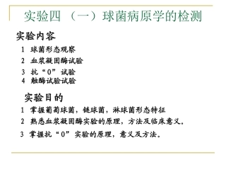 球菌和肠道杆菌病原学检测