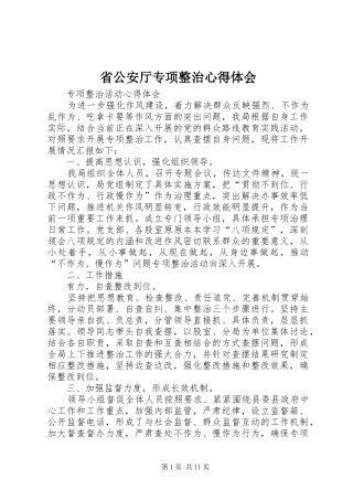 省公安厅专项整治心得体会