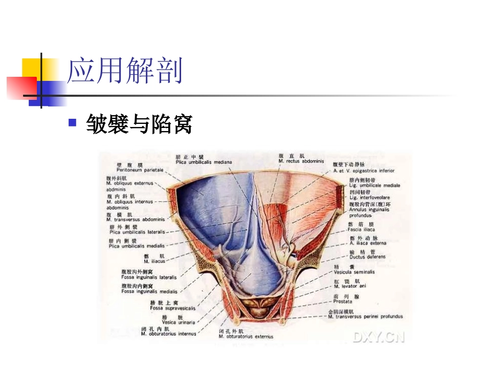 腹腔镜疝修补_第2页