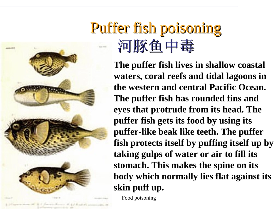 有毒动植物中毒_第3页