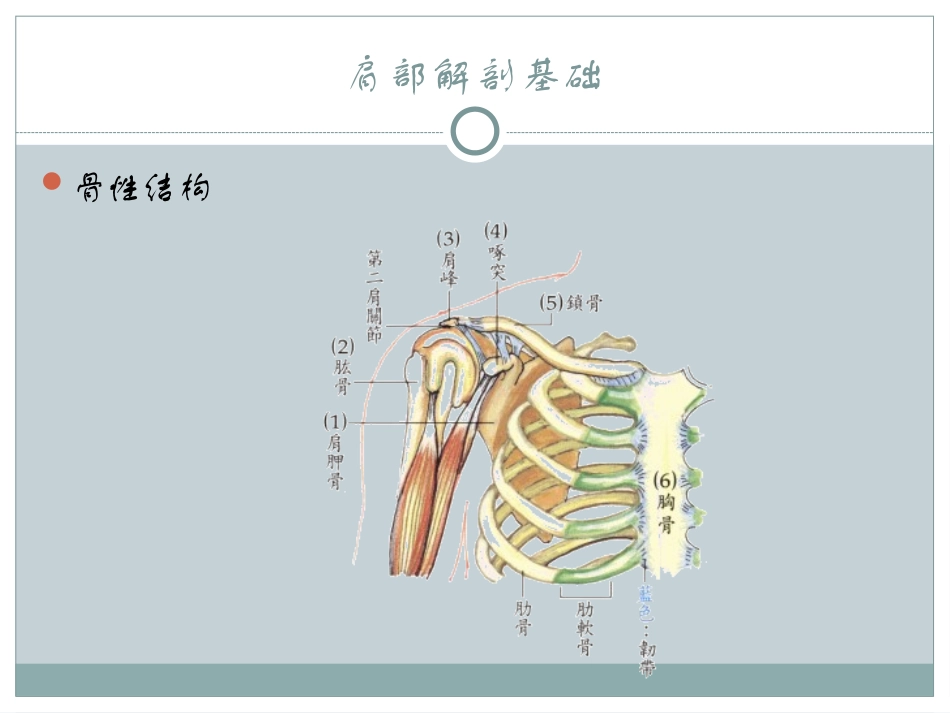 怎样治肩周炎_第3页