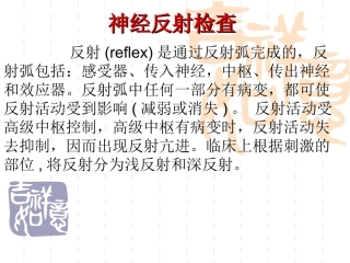 神经反射检查