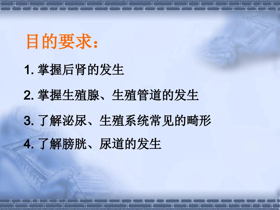 泌尿生殖系发生--组织学与胚胎学_第2页