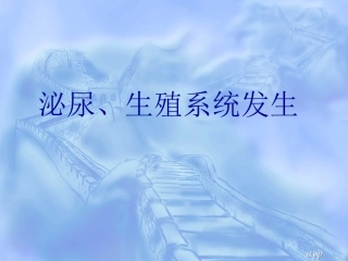 泌尿生殖系发生--组织学与胚胎学
