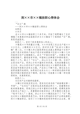 到××市××镇挂职心得体会