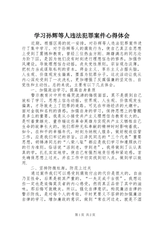 学习孙辉等人违法犯罪案件心得体会
