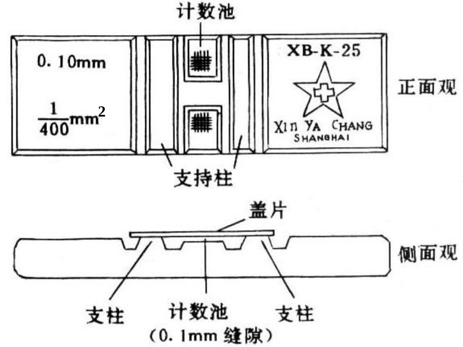 血液学一般检验第二节_第3页