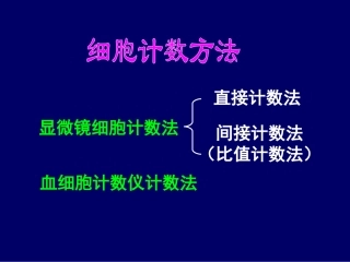 血液学一般检验第二节