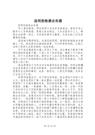 昆明恐怖袭击有感